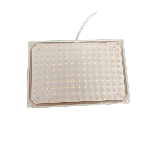 Hot Sale 10w 15w 20w 25w 30w LED cold storage lighting Cold Room dedicated Energy-Saving Light - Image 5